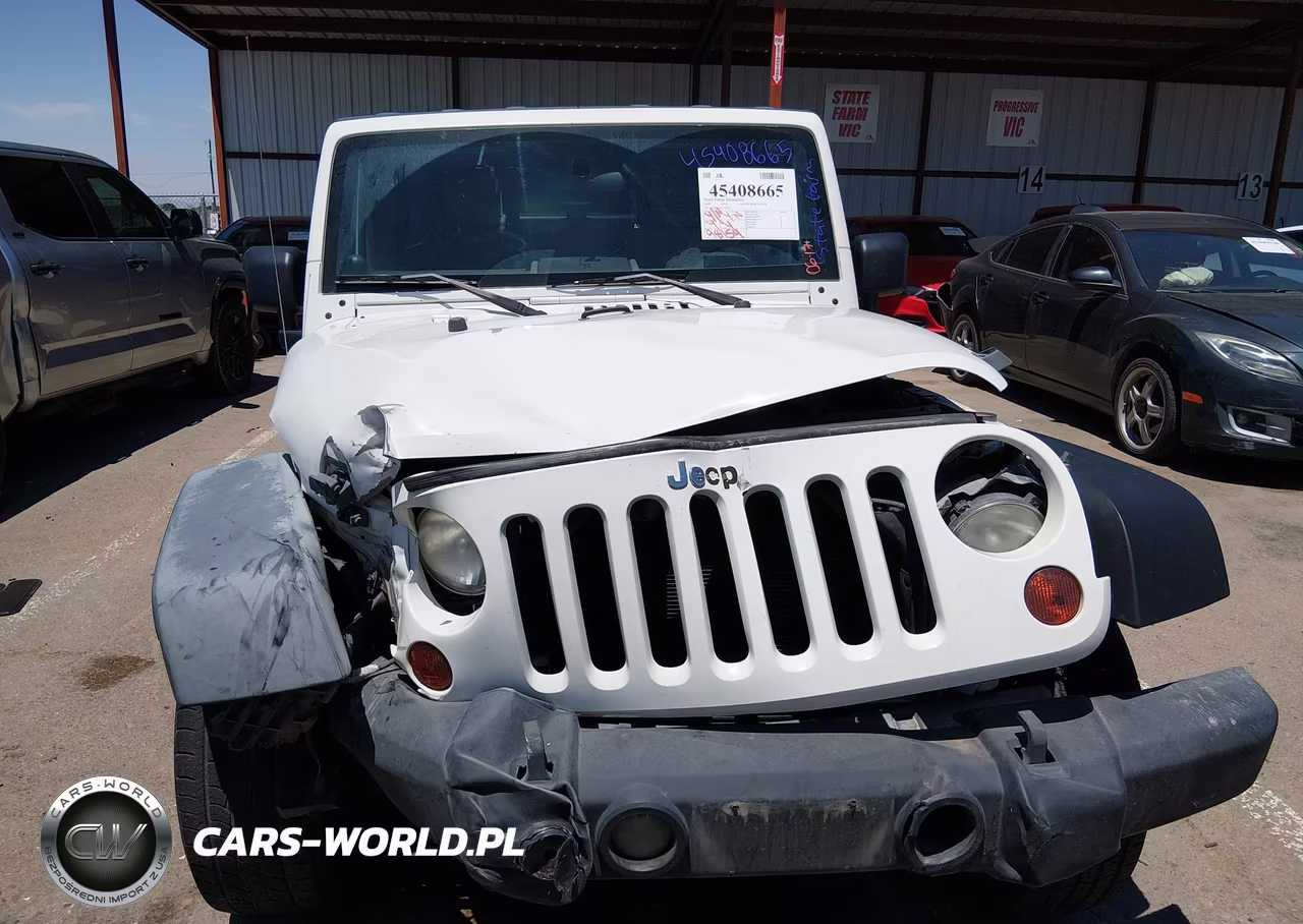 2009 Jeep Wrangler Unlimited X VIN:1J4GA39199L736174 - 12