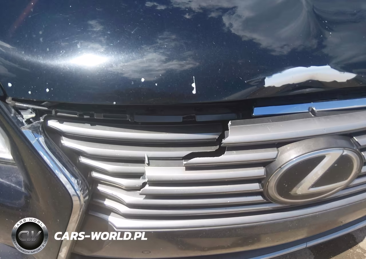 2013 Lexus Ls 460 L VIN:JTHDL5EF8D5005800 - 6