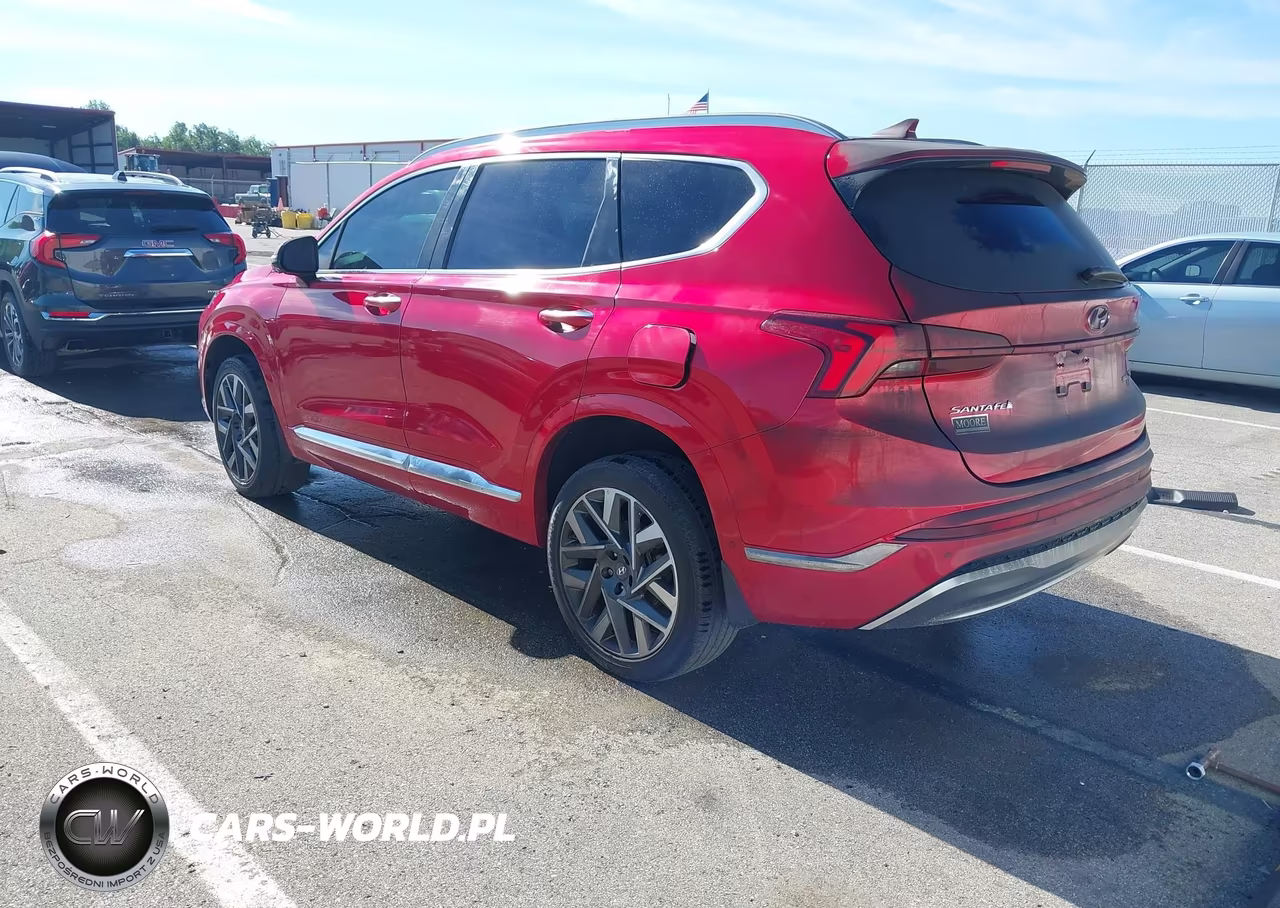 2023 Hyundai Santa Fe Calligraphy VIN:5NMS5DAL8PH499621 - 3