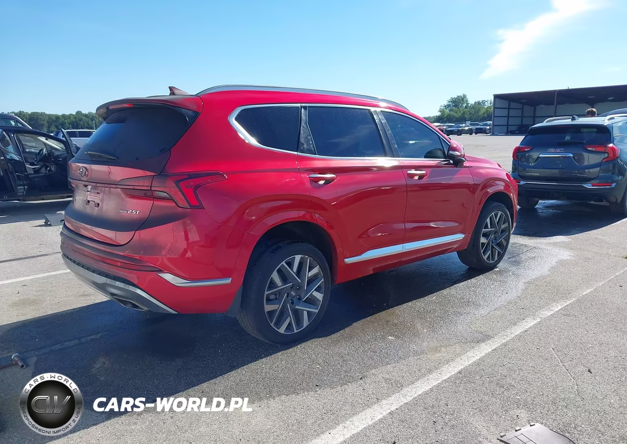 2023 Hyundai Santa Fe Calligraphy VIN:5NMS5DAL8PH499621 - 4
