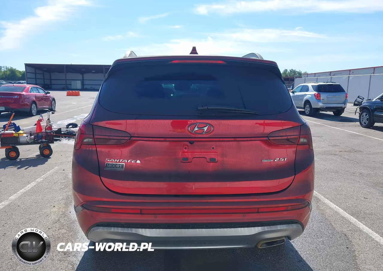 2023 Hyundai Santa Fe Calligraphy VIN:5NMS5DAL8PH499621 - 6
