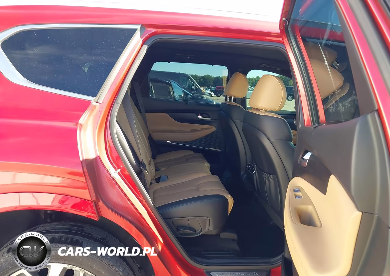 2023 Hyundai Santa Fe Calligraphy VIN:5NMS5DAL8PH499621 - 8