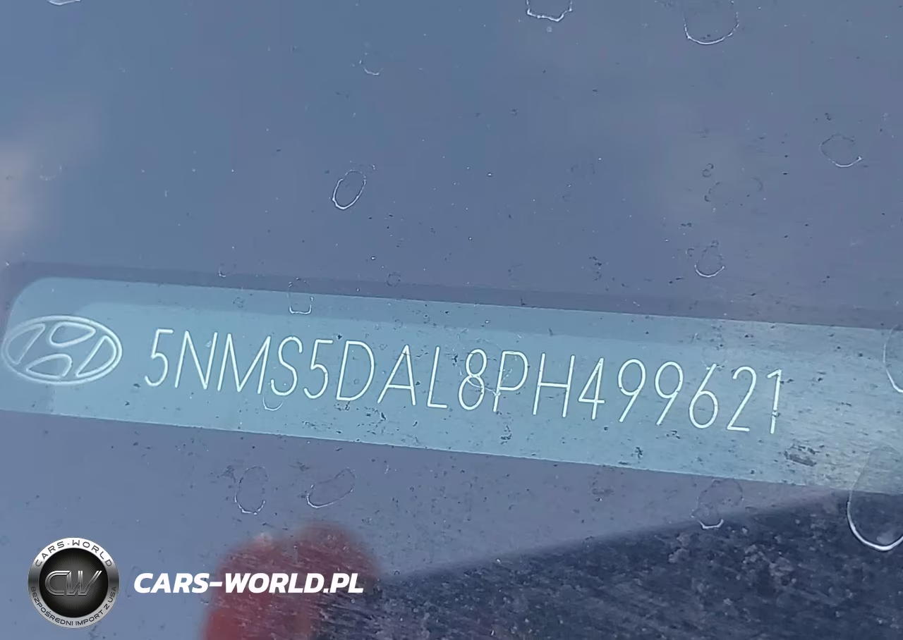 2023 Hyundai Santa Fe Calligraphy VIN:5NMS5DAL8PH499621 - 9