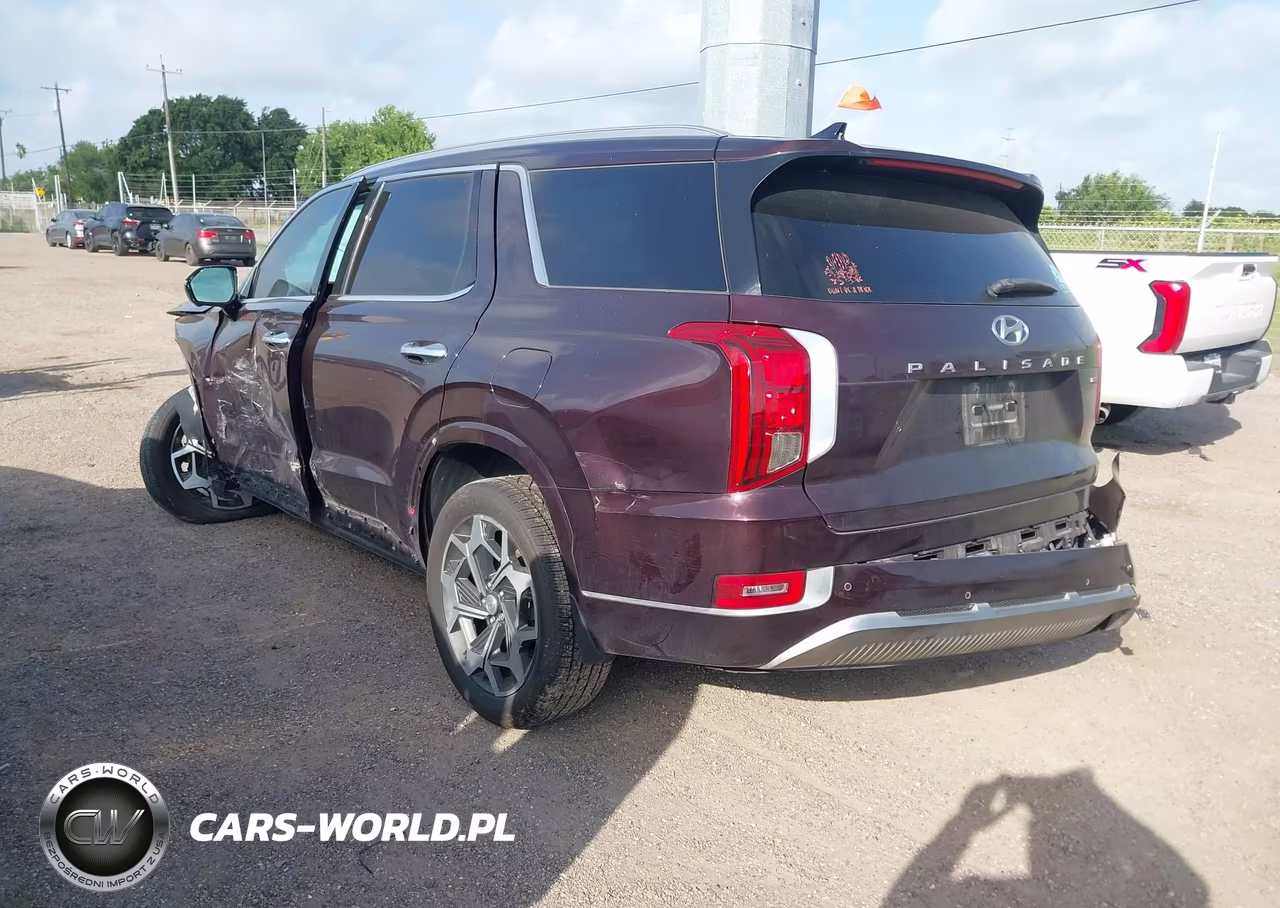 2022 Hyundai Palisade Calligraphy VIN:KM8R7DHE8NU361529 - 3