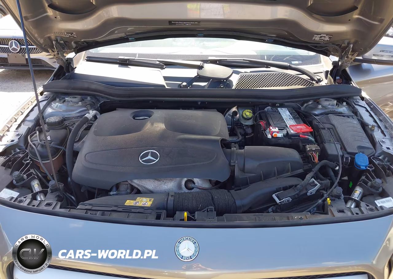 2015 Mercedes-Benz Gla 250 4Matic VIN:WDCTG4GB6FJ171789 - 10