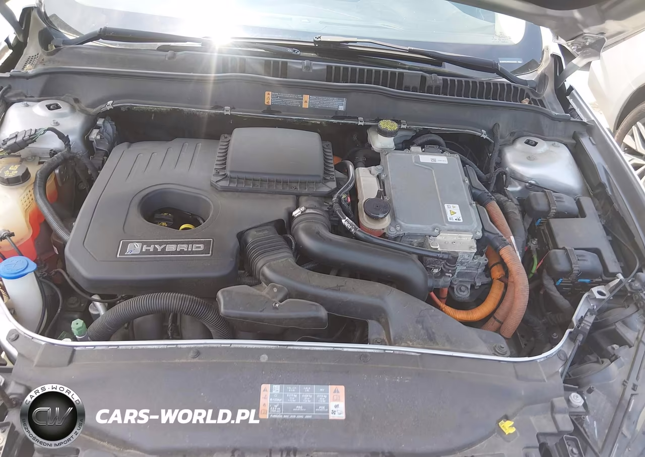 2017 Ford Fusion Hybrid Se VIN:3FA6P0LU0HR386599 - 10