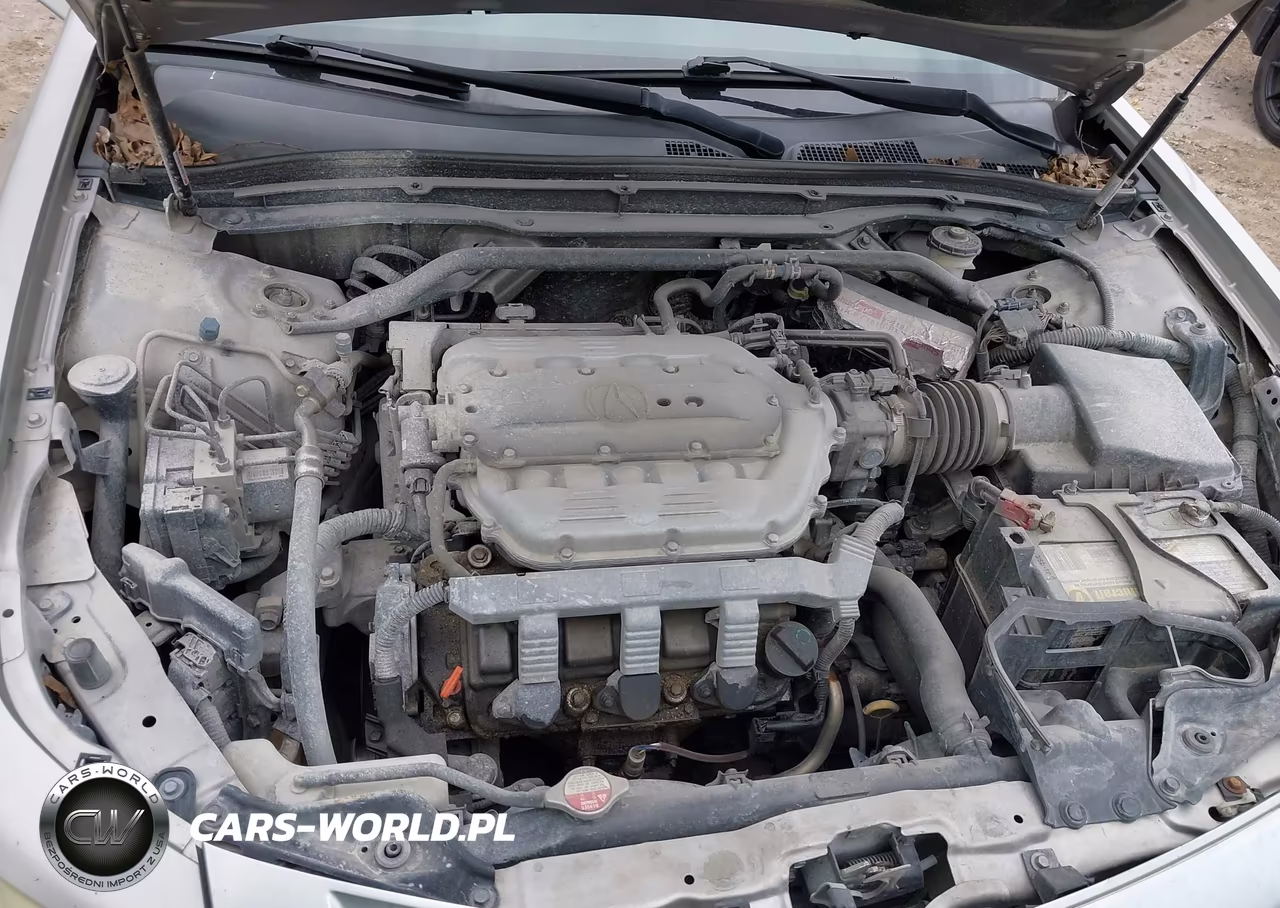 2009 Acura Tl 3.5 VIN:19UUA86209A014589 - 10