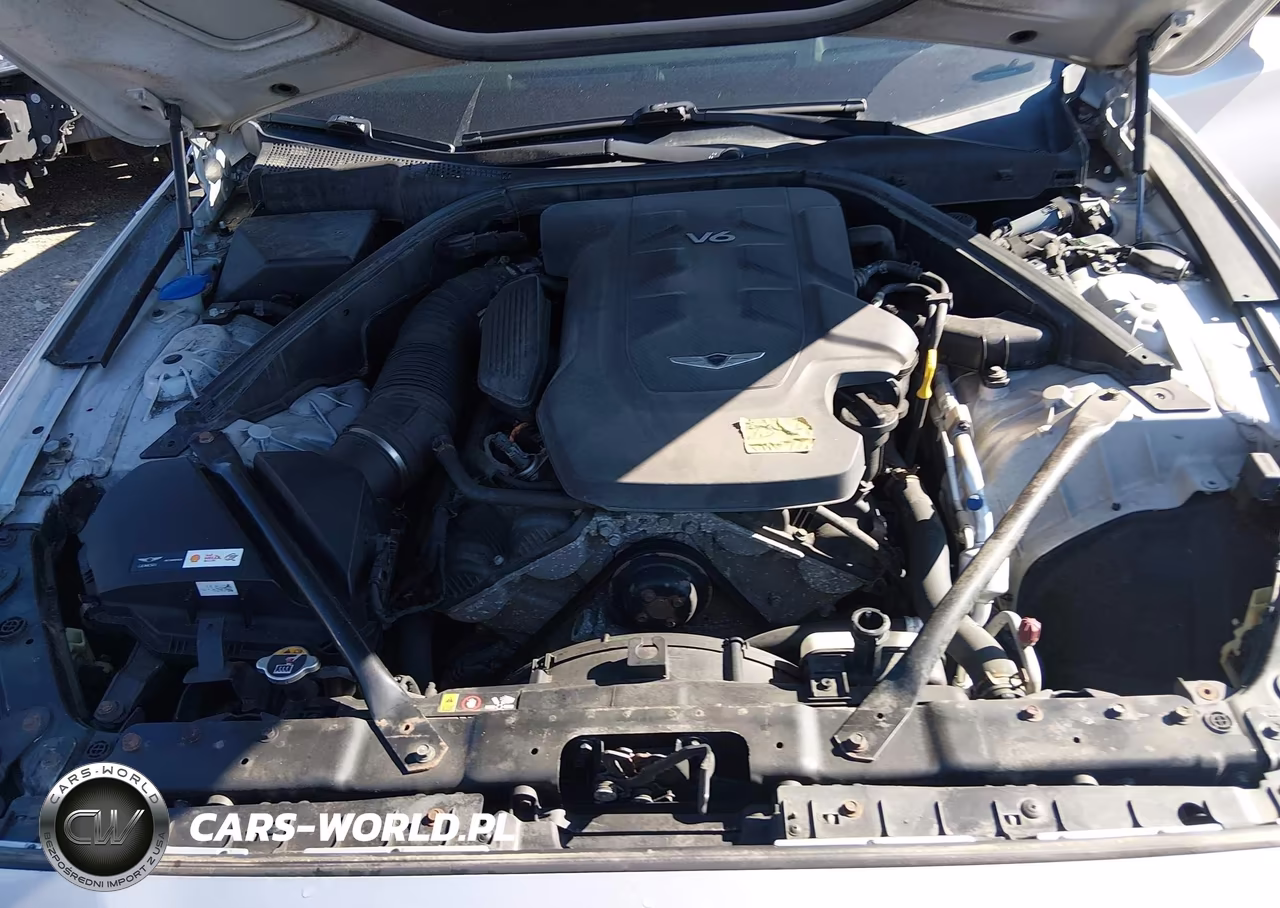2017 Genesis G80 3.8 VIN:KMHGN4JE2HU176680 - 10