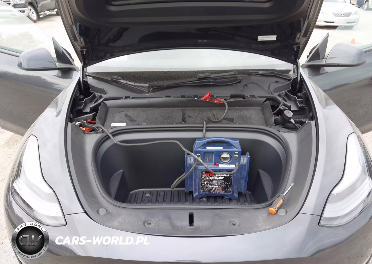 2024 Tesla Model Y Long Range Dual Motor All-Wheel Drive VIN:7SAYGDEE0RA330195 - 10