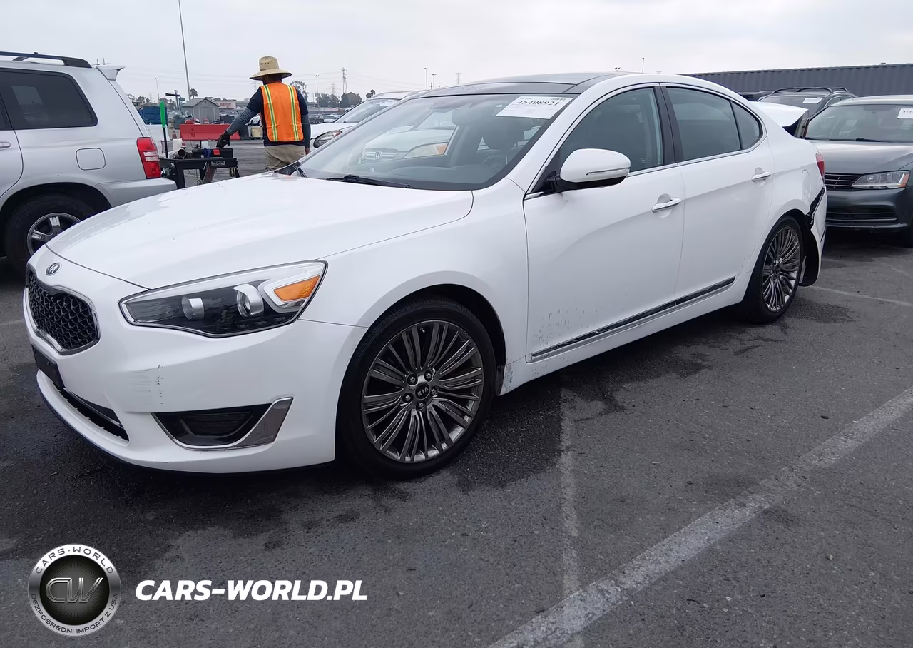 2014 Kia Cadenza Limited VIN:KNALN4D7XE5164571 - 2