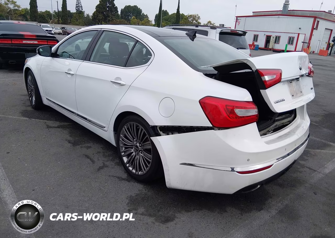 2014 Kia Cadenza Limited VIN:KNALN4D7XE5164571 - 3