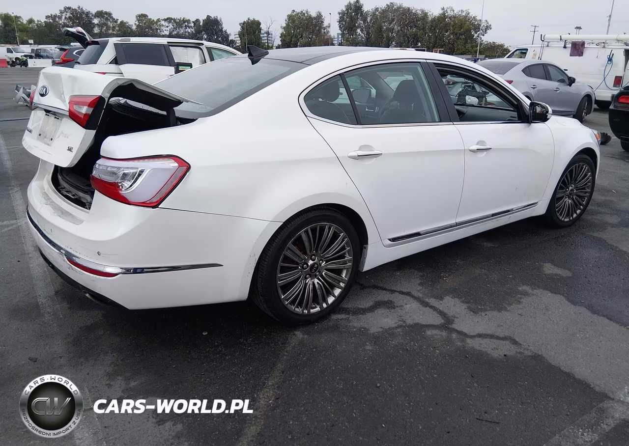 2014 Kia Cadenza Limited VIN:KNALN4D7XE5164571 - 4