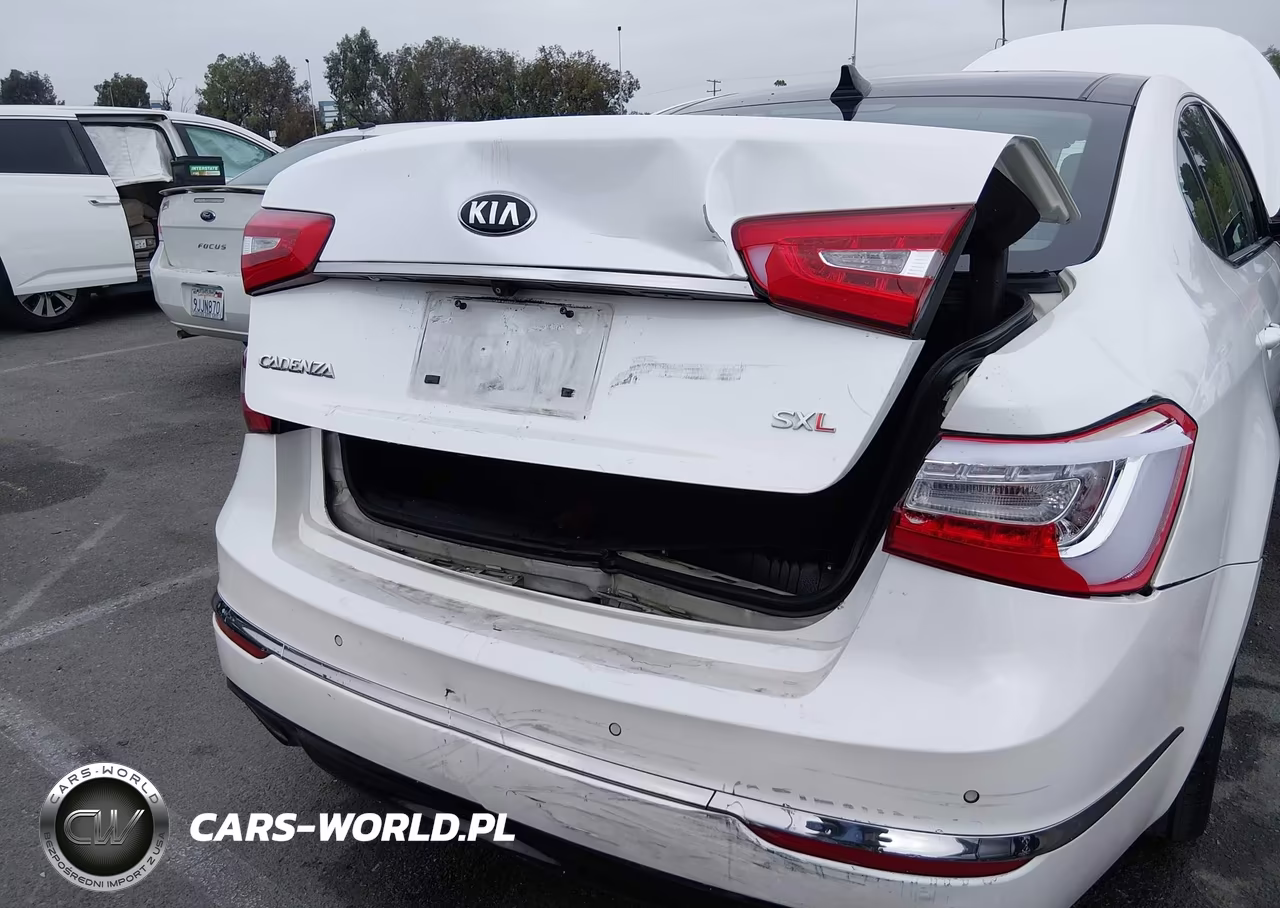 2014 Kia Cadenza Limited VIN:KNALN4D7XE5164571 - 6
