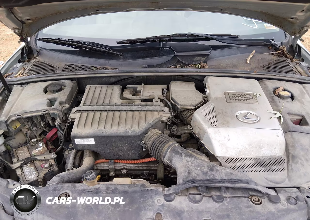 2007 Lexus Rx 400H VIN:JTJHW31U572025721 - 10