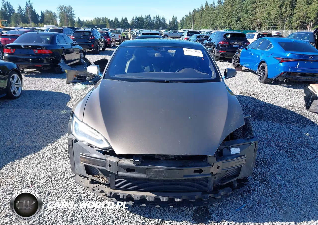 2016 Tesla Model S 60D-70D-75D-85D-90D VIN:5YJSA1E2XGF152451 - 13