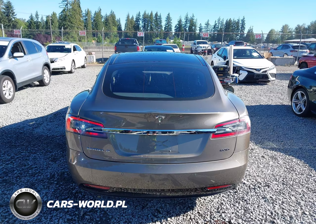 2016 Tesla Model S 60D-70D-75D-85D-90D VIN:5YJSA1E2XGF152451 - 17