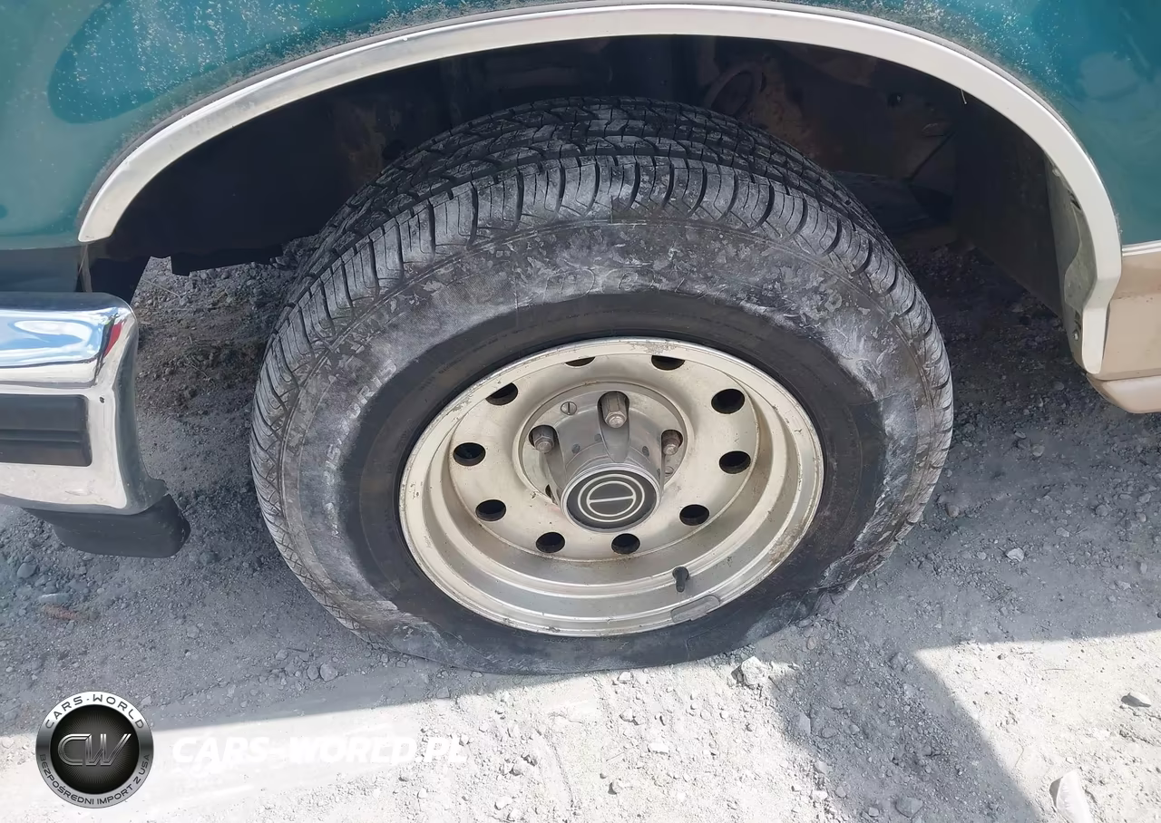 1996 Ford F150 VIN:1FTEF15NXTLA24324 - 13