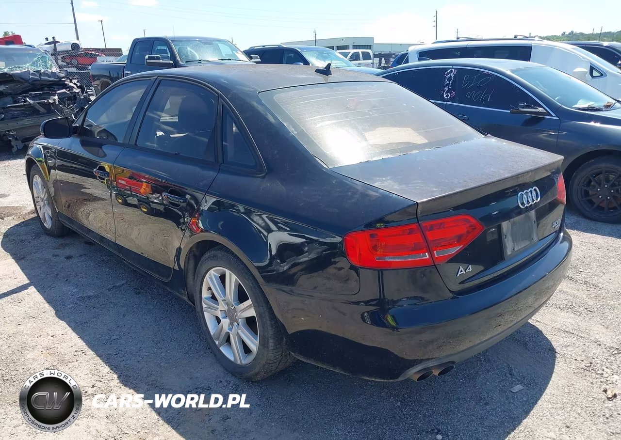 2010 Audi A4 2.0T Premium VIN:WAUBFAFL6AN033455 - 3