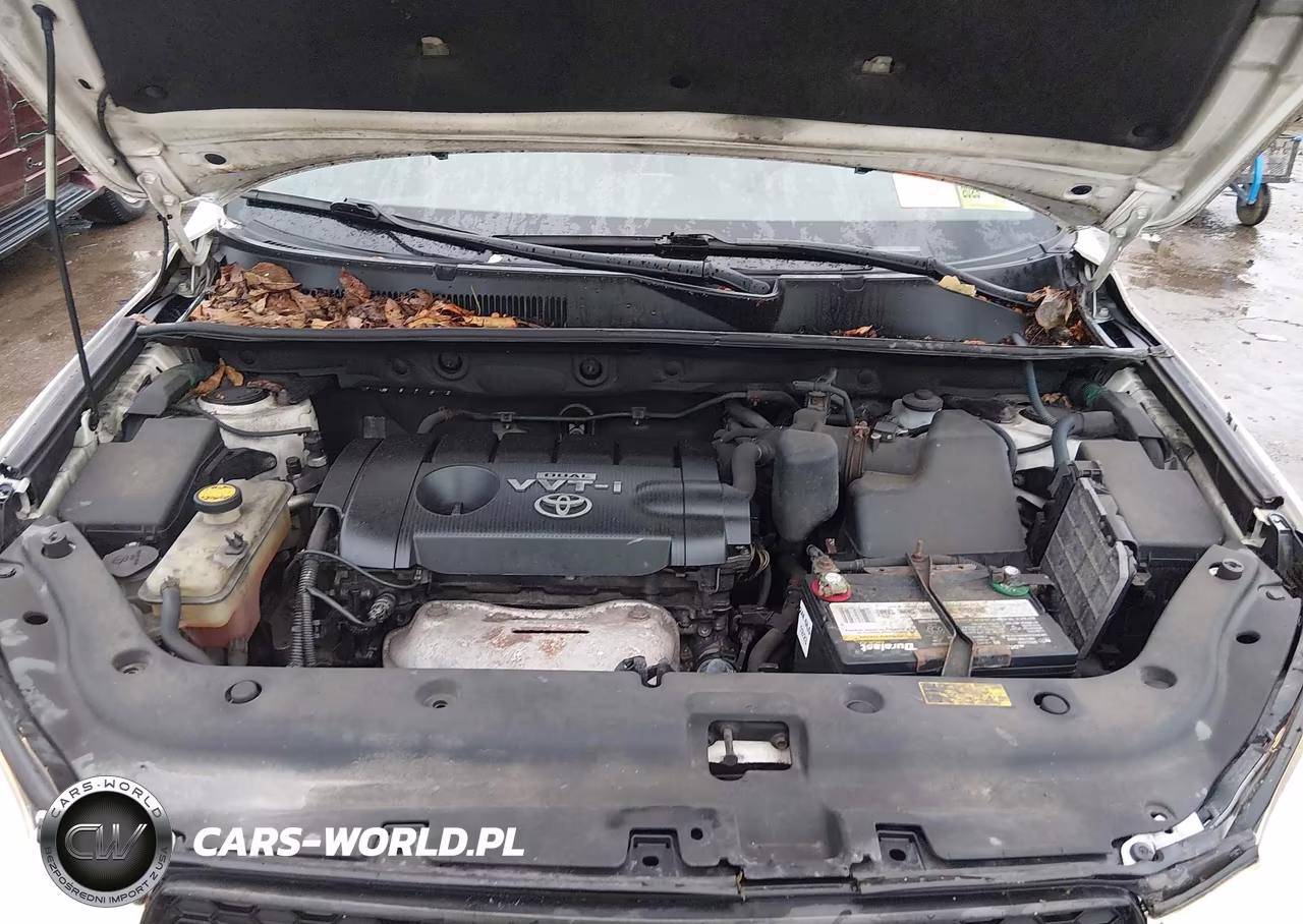 2010 Toyota Rav4 VIN:2T3BF4DVXAW079808 - 10