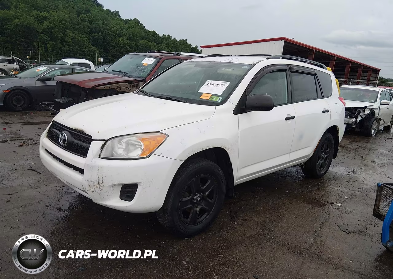 2010 Toyota Rav4 VIN:2T3BF4DVXAW079808 - 2