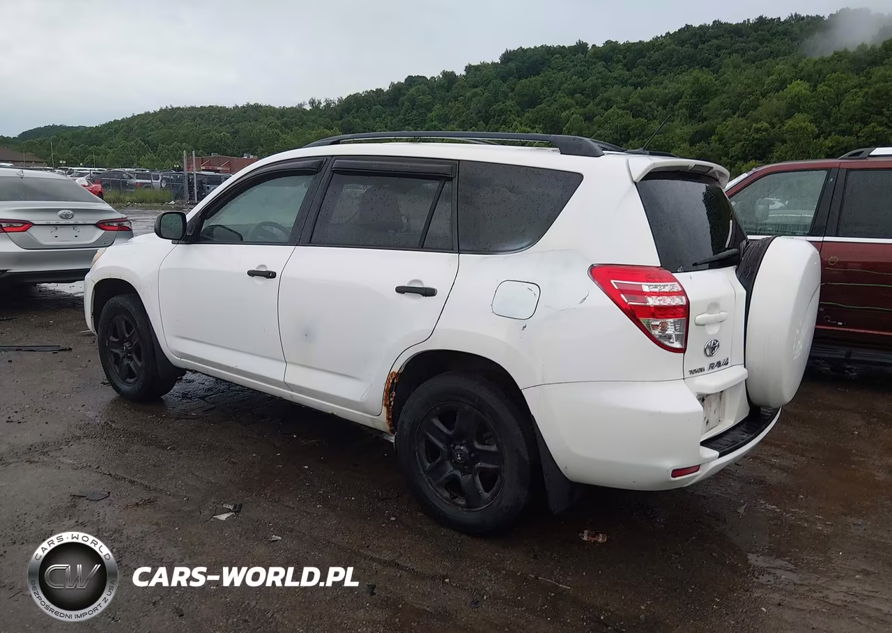 2010 Toyota Rav4 VIN:2T3BF4DVXAW079808 - 3