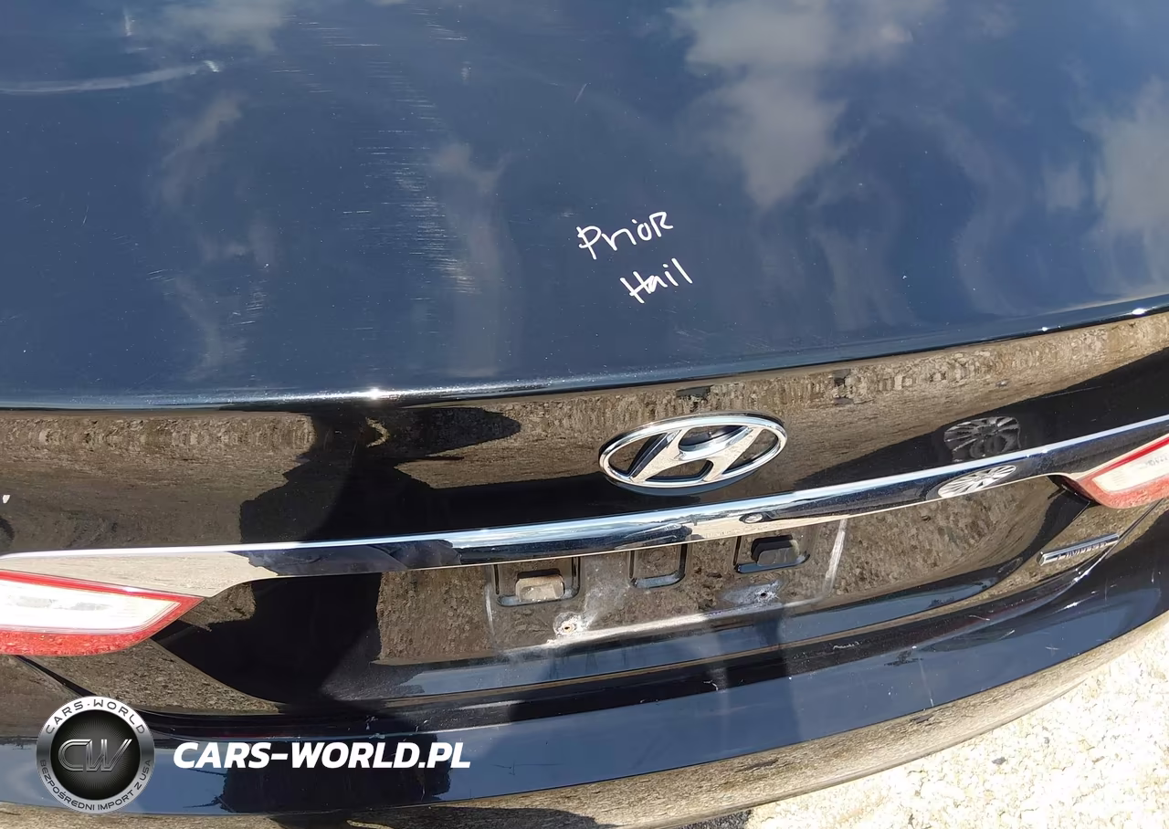 2011 Hyundai Sonata Limited VIN:5NPEC4AC7BH161173 - 13