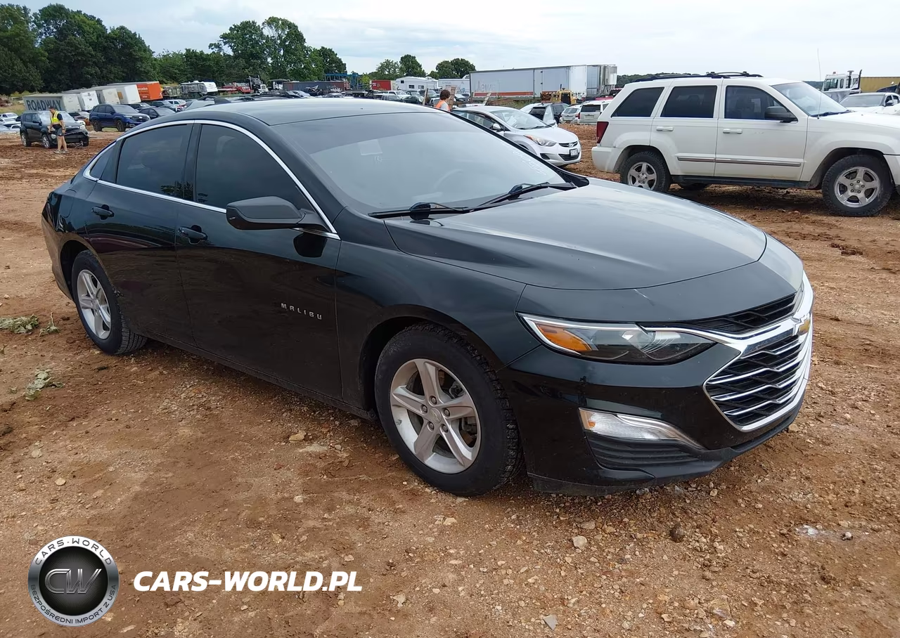 2019 Chevrolet Malibu 1Ls
