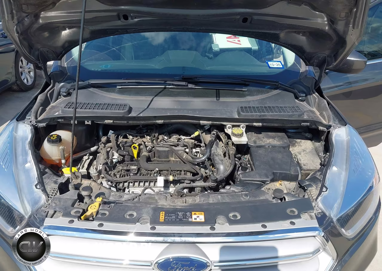 2019 Ford Escape Se VIN:1FMCU0GD5KUA71163 - 10