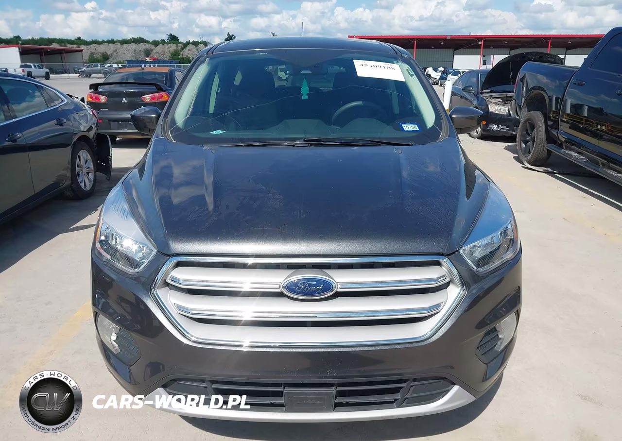 2019 Ford Escape Se VIN:1FMCU0GD5KUA71163 - 12