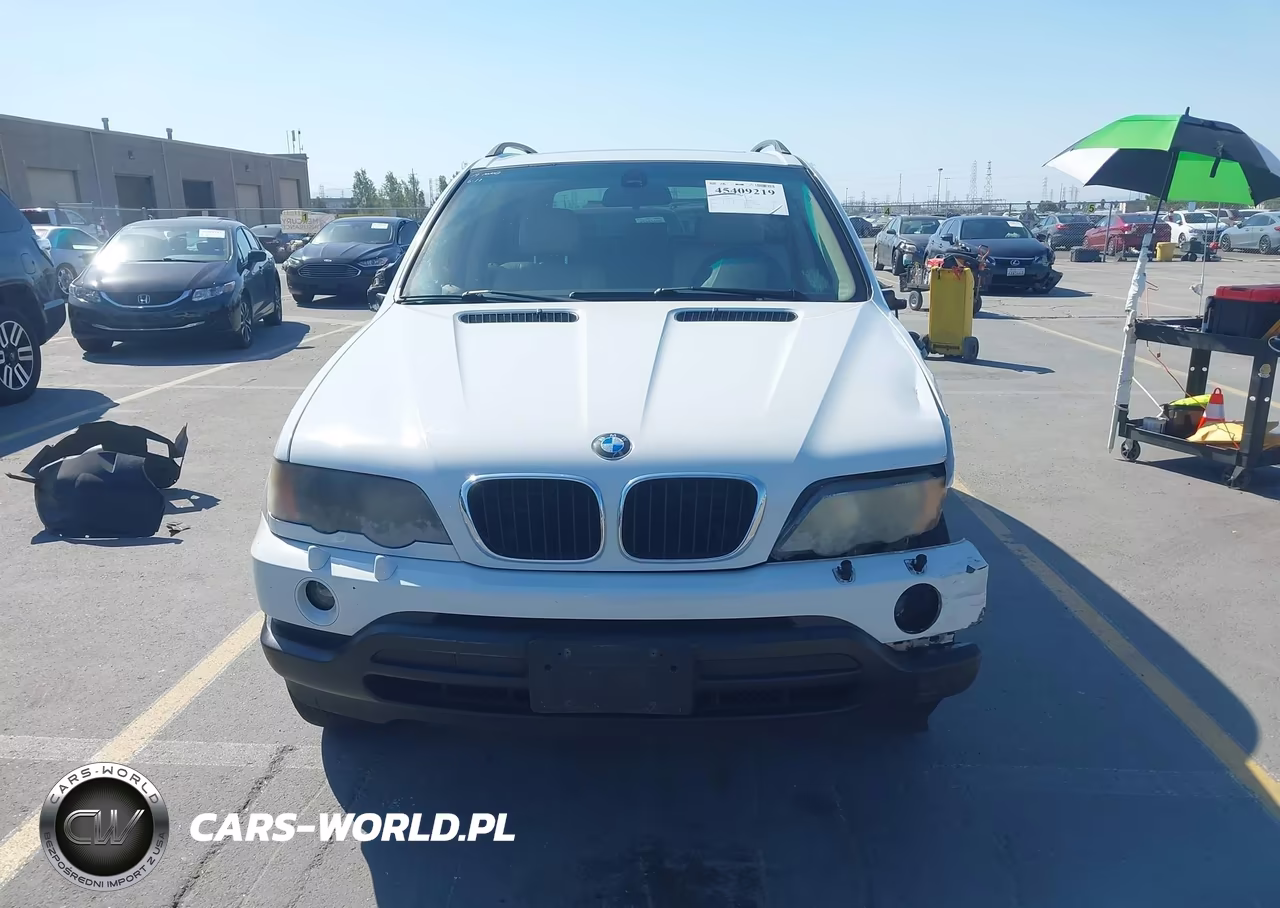2001 BMW X5 3.0 VIN:WBAFA53501LM73826 - 14