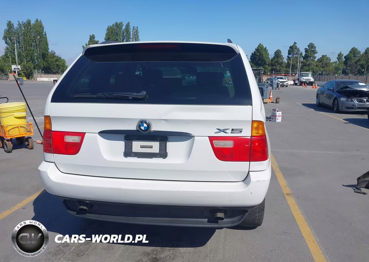 2001 BMW X5 3.0 VIN:WBAFA53501LM73826 - 18