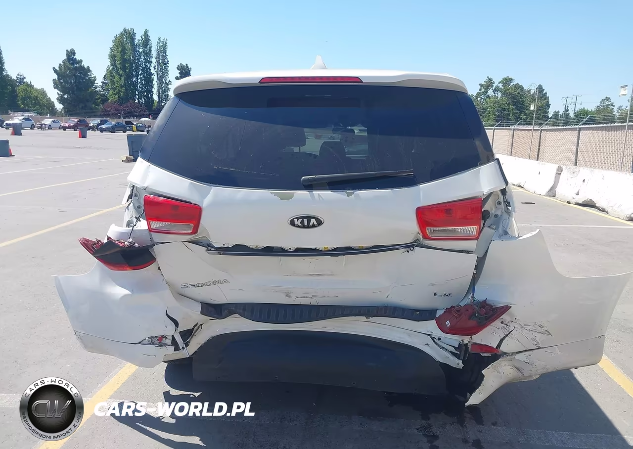 2017 Kia Sedona Lx VIN:KNDMB5C12H6224196 - 19