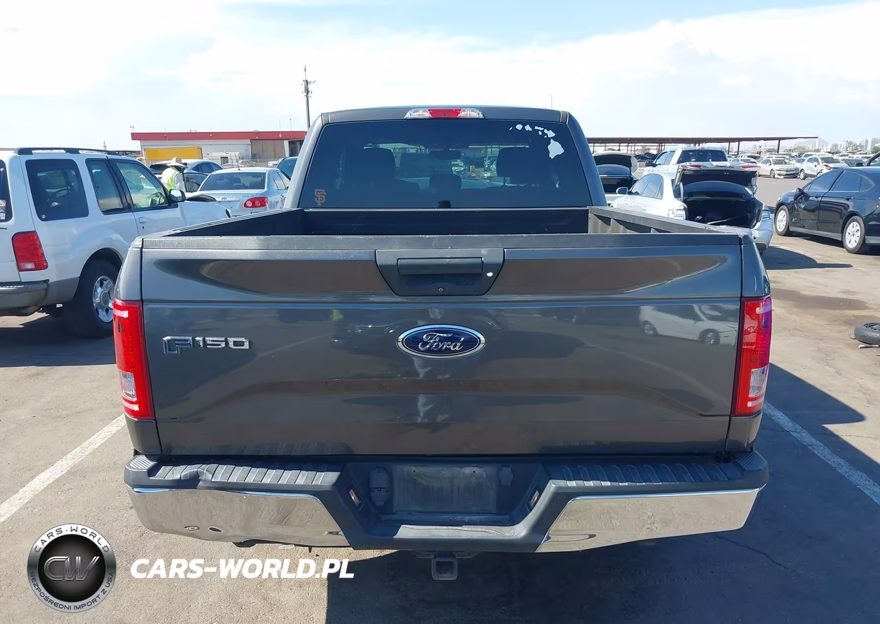2016 Ford F-150 Xlt VIN:1FTEX1CP8GKF20509 - 16
