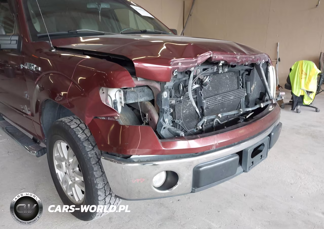 2010 Ford F-150 Fx2 Sport-Xl-Xlt VIN:1FTEW1C8XAFC56432 - 18