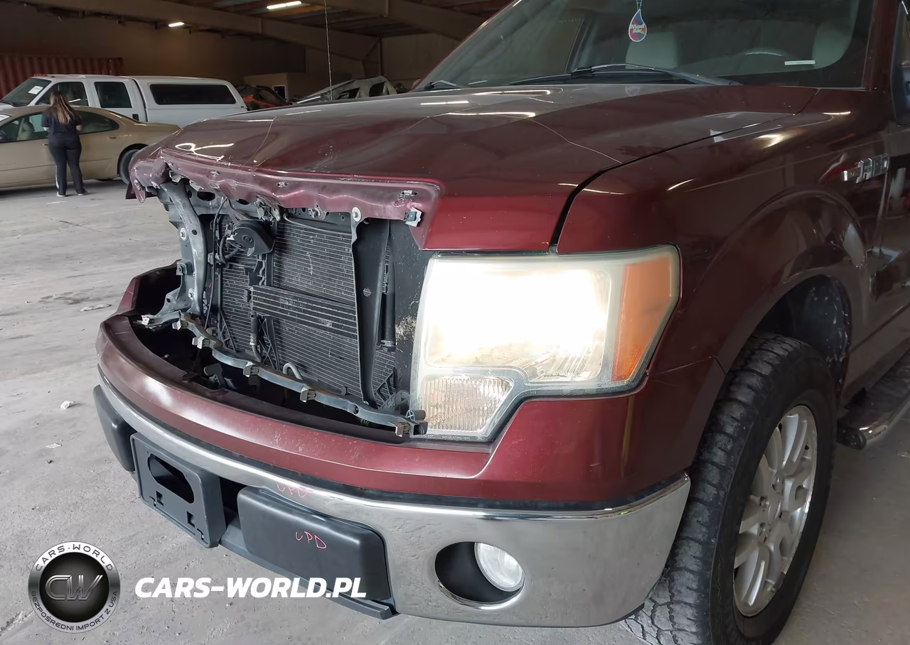 2010 Ford F-150 Fx2 Sport-Xl-Xlt VIN:1FTEW1C8XAFC56432 - 19