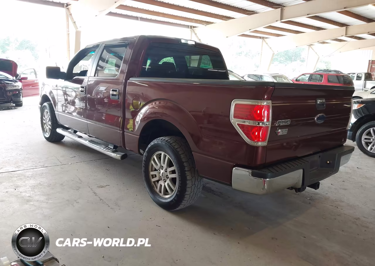 2010 Ford F-150 Fx2 Sport-Xl-Xlt VIN:1FTEW1C8XAFC56432 - 3