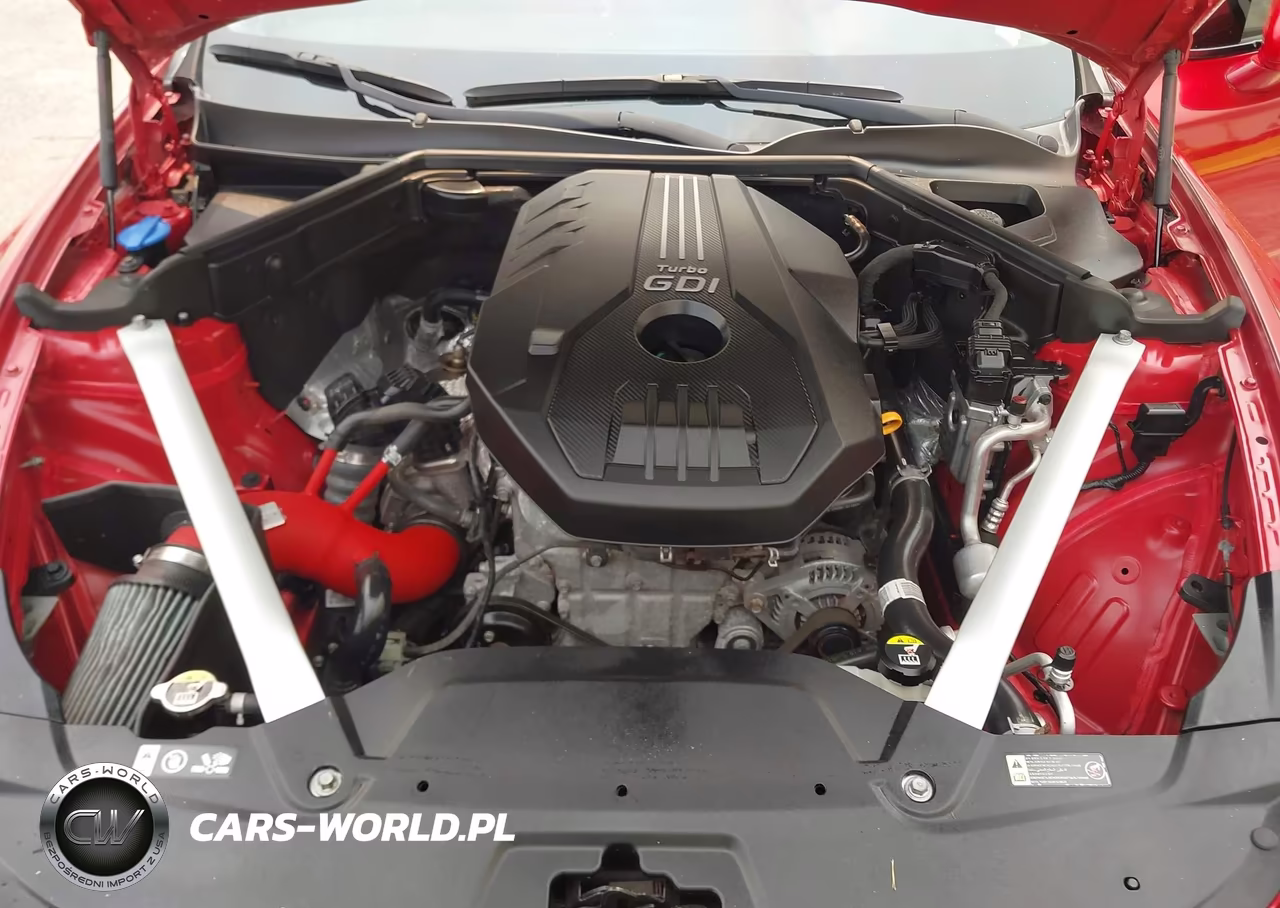 2019 Kia Stinger VIN:KNAE15LA8K6050906 - 10