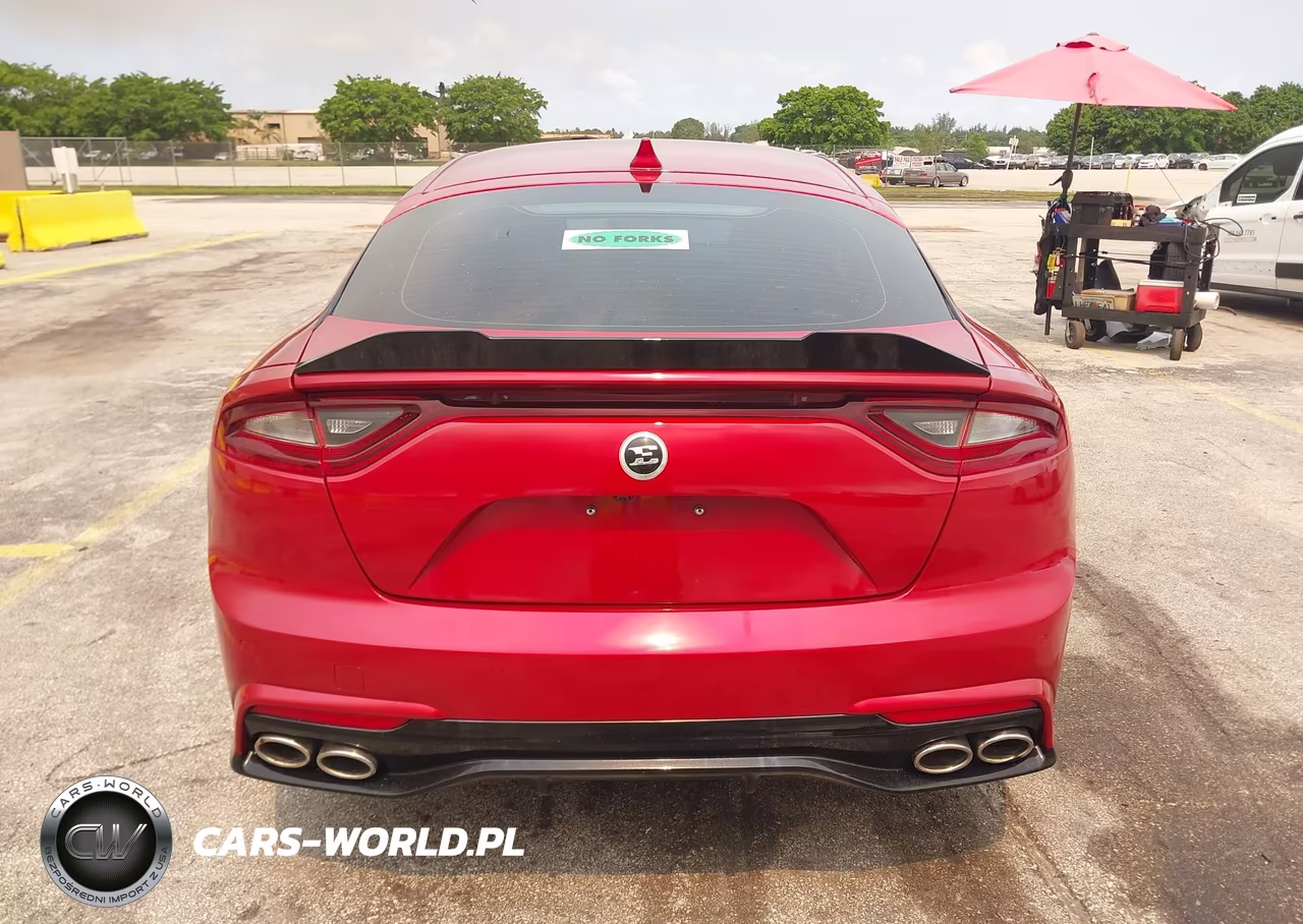 2019 Kia Stinger VIN:KNAE15LA8K6050906 - 16