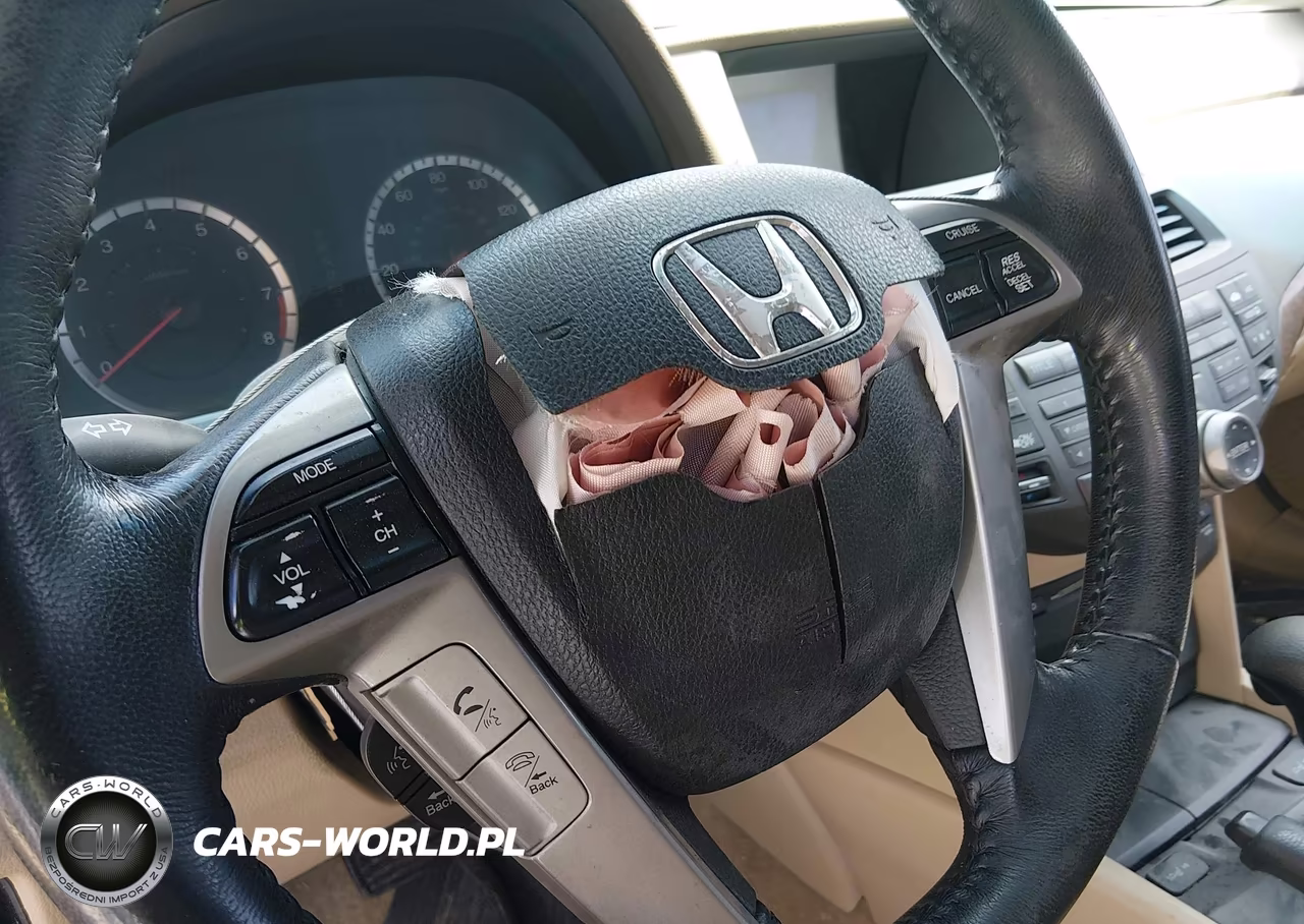 2010 Honda Accord 2.4 Ex-L VIN:1HGCP2F8XAA114148 - 16