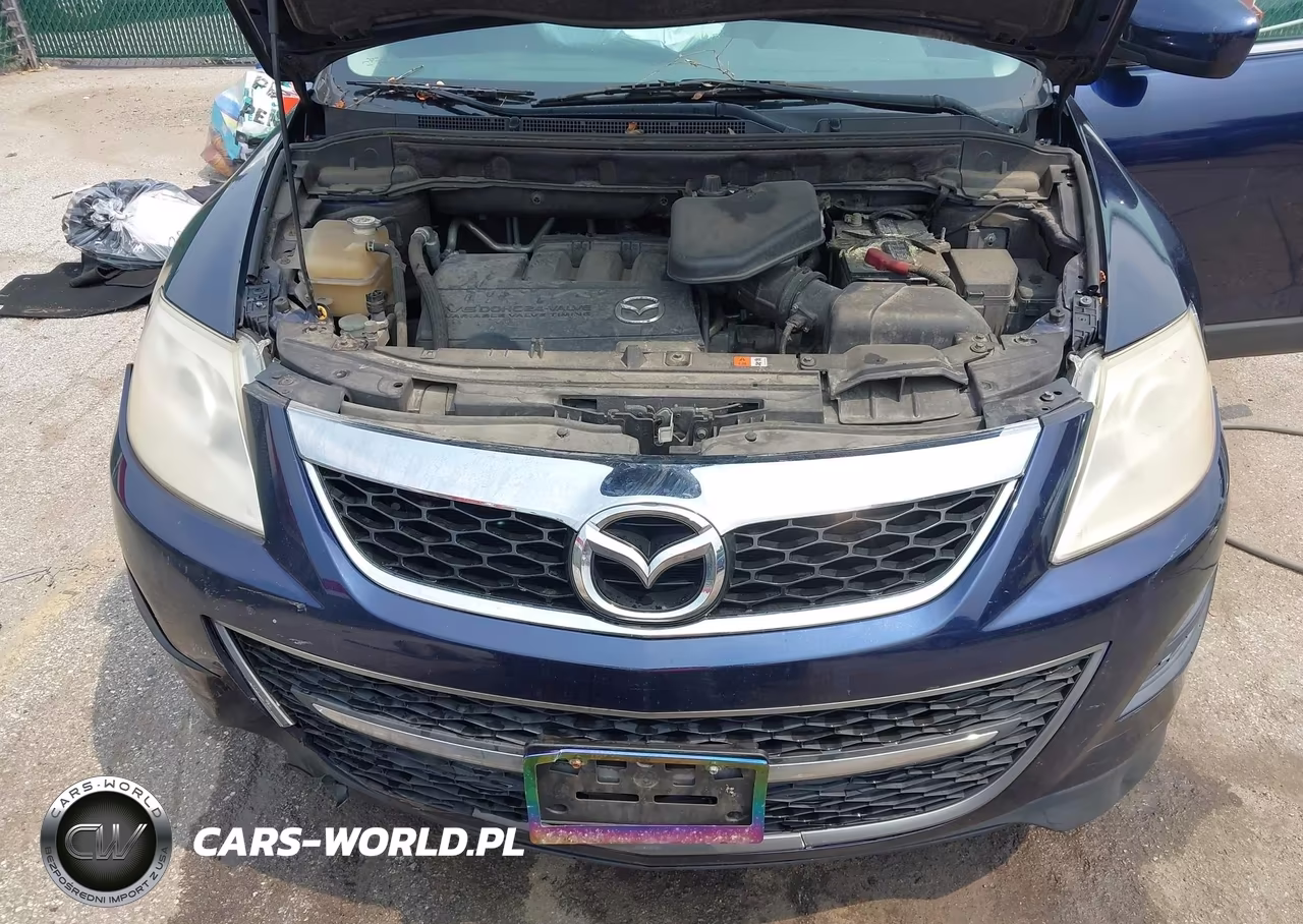 2010 Mazda Cx-9 Sport VIN:JM3TB2MV1A0211497 - 10