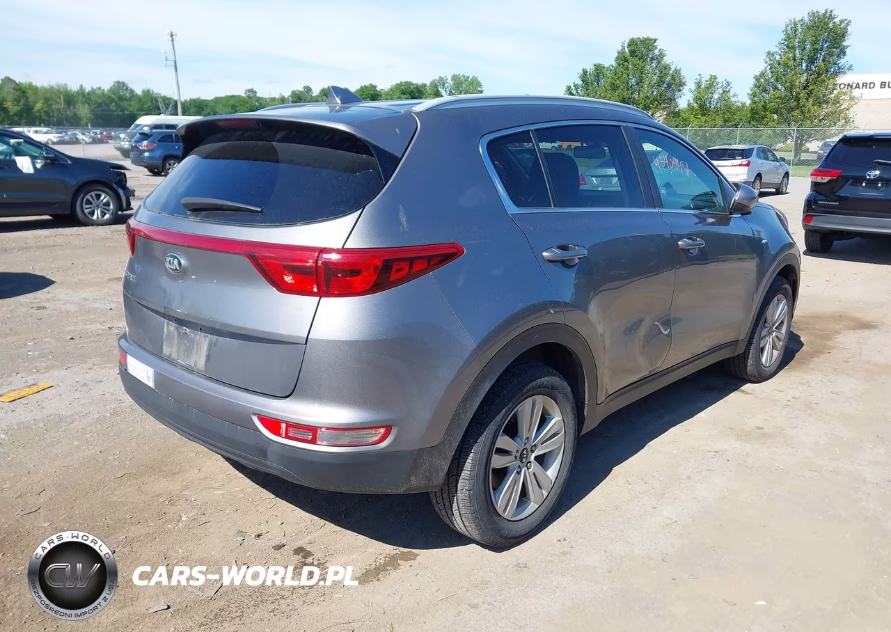 2019 Kia Sportage Lx VIN:KNDPMCAC5K7556571 - 4