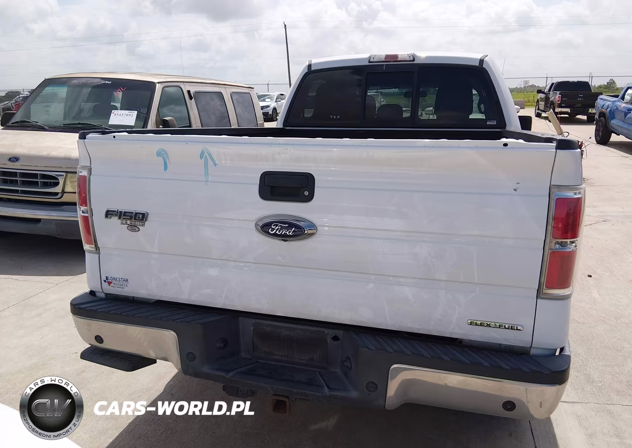 2014 Ford F-150 Xlt VIN:1FTFW1CF3EKF56832 - 16