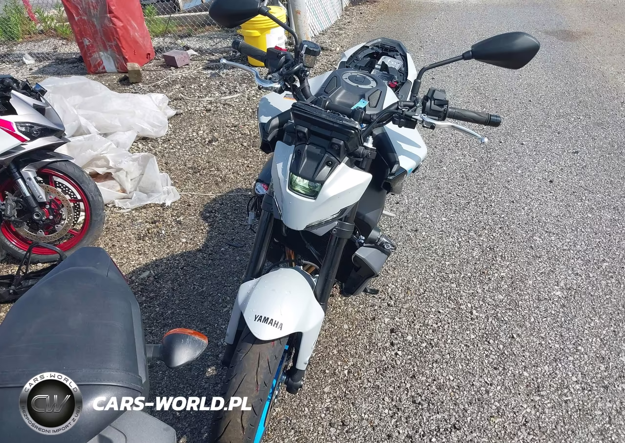 2025 Yamaha Mt09 C VIN:JYARN94Y9SA000780 - 5