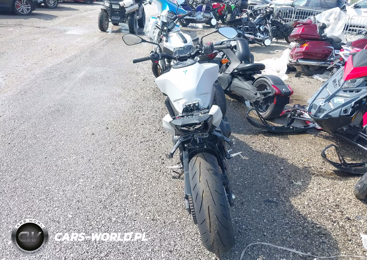 2025 Yamaha Mt09 C VIN:JYARN94Y9SA000780 - 6