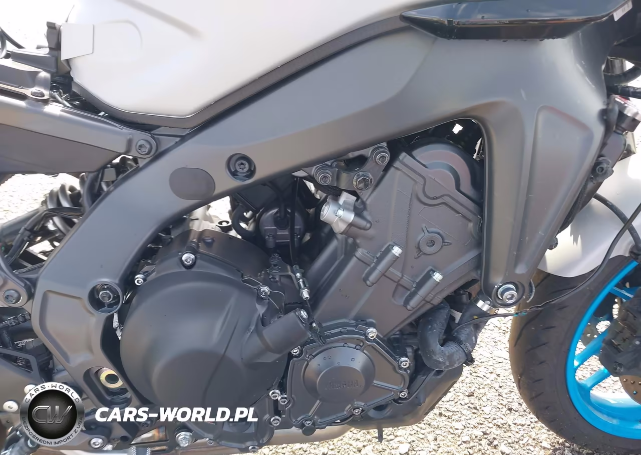 2025 Yamaha Mt09 C VIN:JYARN94Y9SA000780 - 8