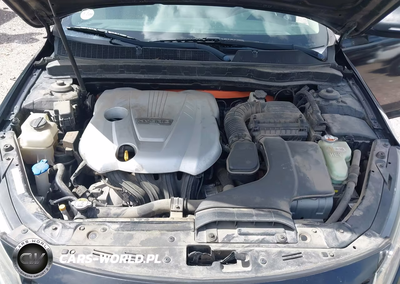 2012 Kia Optima Hybrid Ex VIN:KNAGM4AD4C5020087 - 10