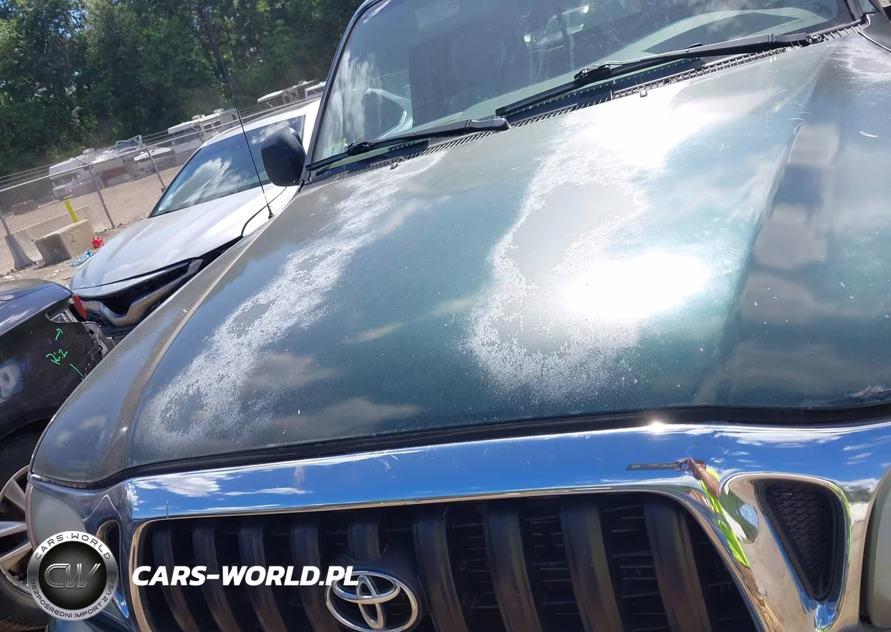 2003 Toyota Tacoma Base V6 VIN:5TEWN72N13Z186116 - 10
