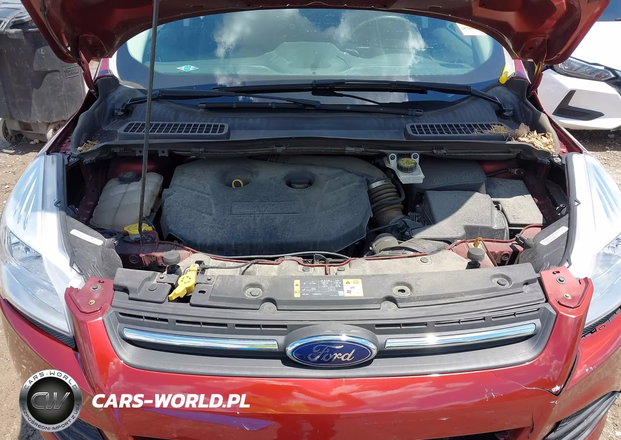 2016 Ford Escape Se VIN:1FMCU9G92GUA94455 - 10