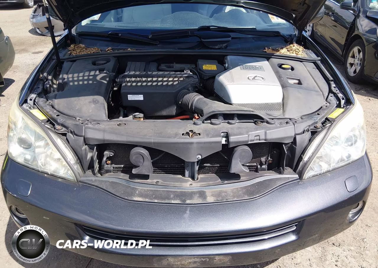 2007 Lexus Rx 400H VIN:JTJHW31U672014985 - 10