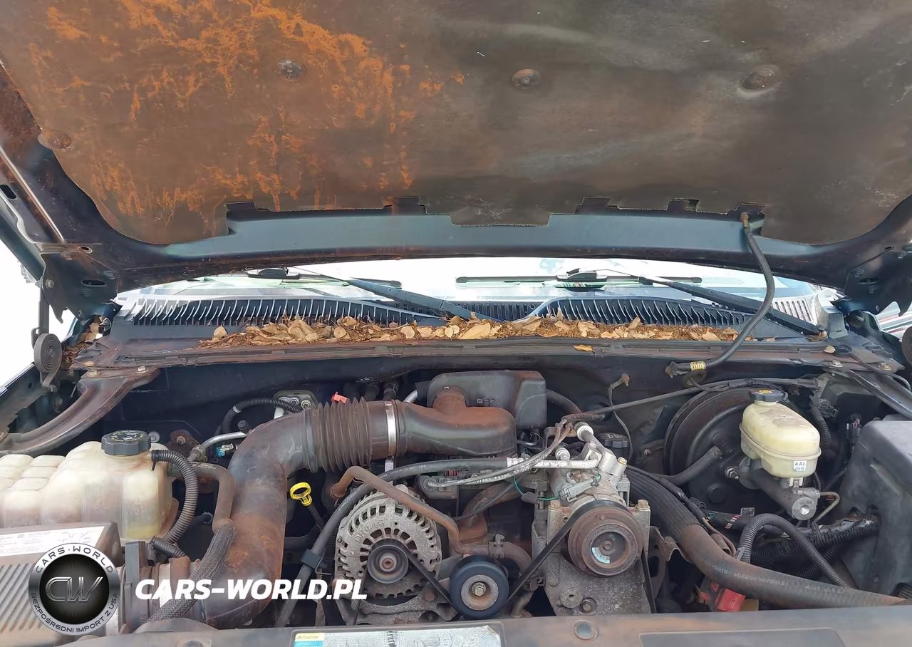 2005 Chevrolet Silverado 1500 Work Truck VIN:1GCEC14X45Z144678 - 10